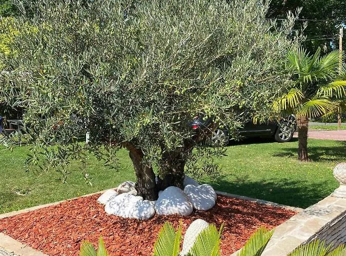 Le Clos Des Chênes 3*