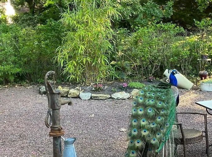 Le Clos Des Chênes Maison d'hôtes Challans