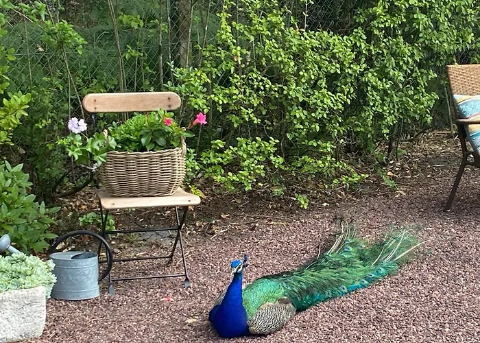 Le Clos Des Chênes Maison d'hôtes